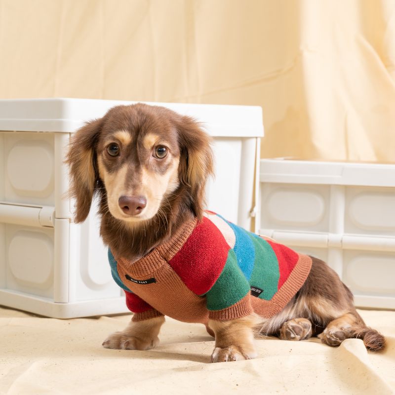 Medium dog hot sale sweater