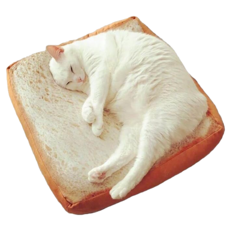 Soft Cat or Puppy Cushion Bed, Pizza/Avocado/Fried Egg/Toast/Ham Shape Pet Mattress Bed, for Cats & Small or Medium Dogs