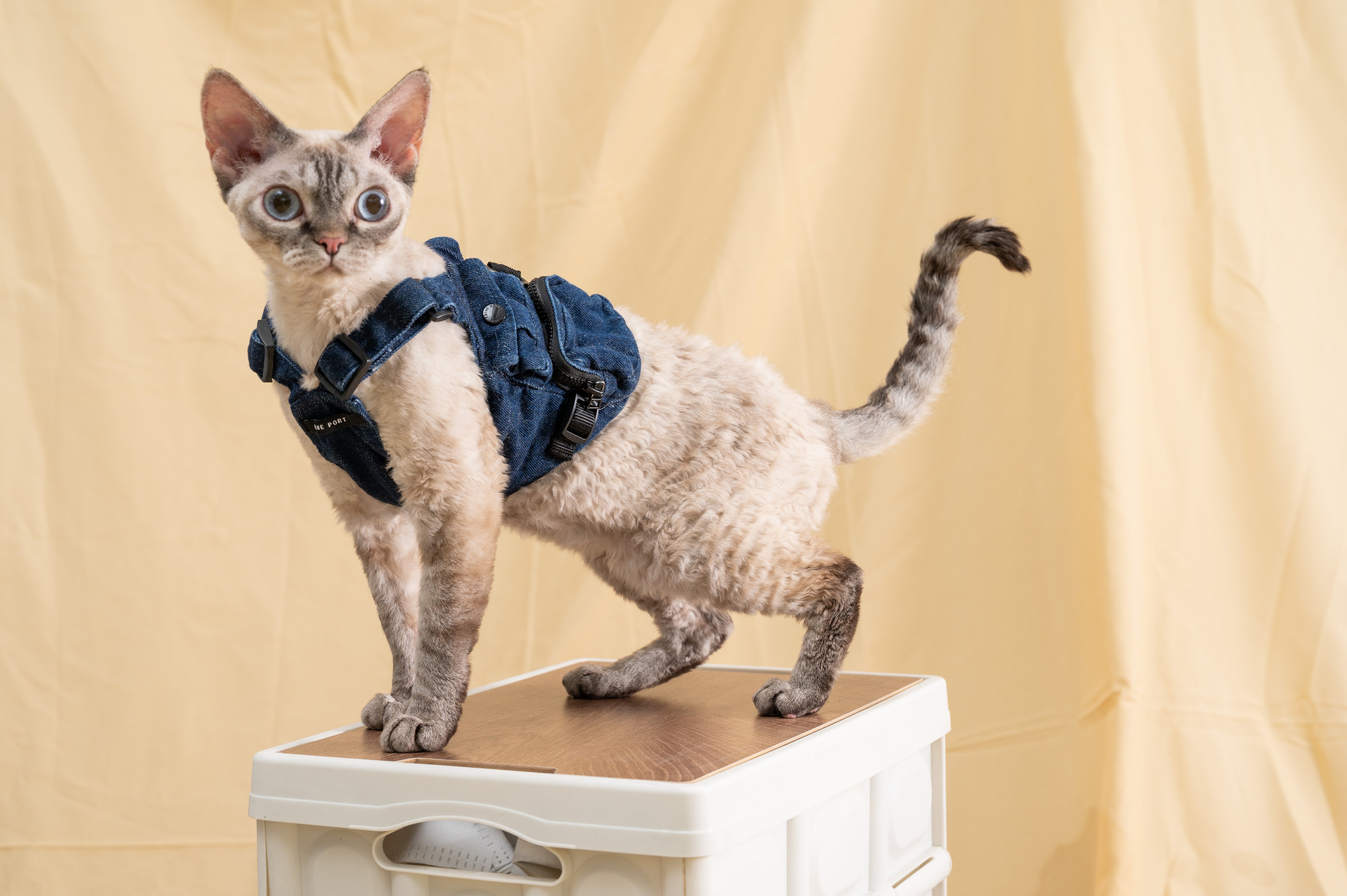 Blue Port Classic Coat: Dog /Cat Jeans Jacket Cool Denim Coat with Leash Set for Small Medium Large Dogs