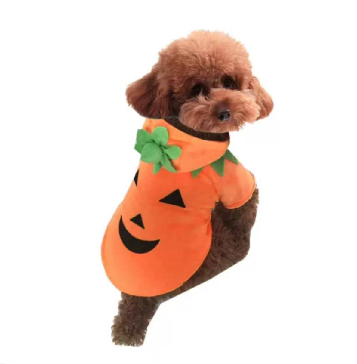 Pet Dog Cute Pumpkin Hoodie Costume for Halloween Dress Up Party, Pet Carnival,Pet Cosplay