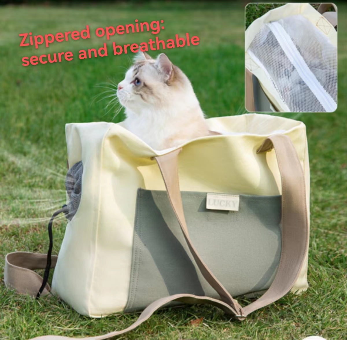 Collapsible Travel Puppy Carrier (Small, Beige)