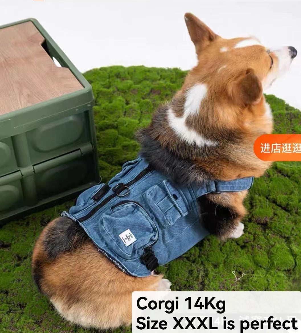 Blue Port Classic Coat: Dog /Cat Jeans Jacket Cool Denim Coat with Leash Set for Small Medium Large Dogs