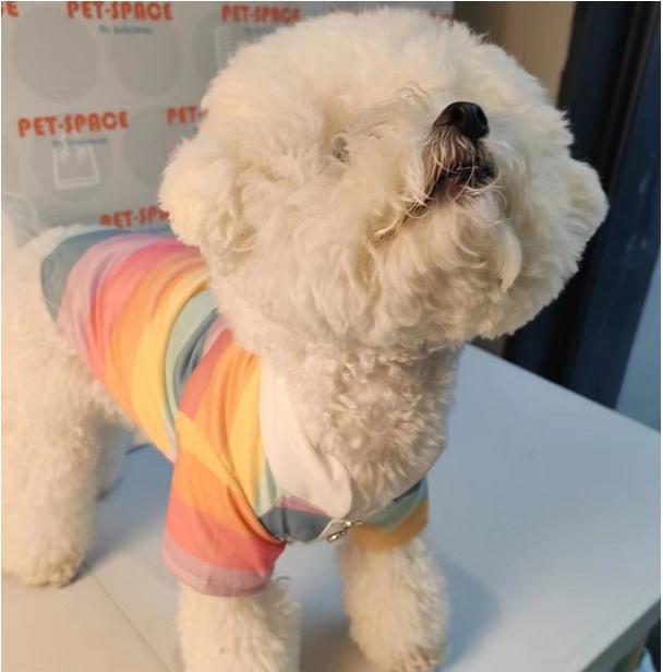 Puppy Autumn/Summer Shirts with Rainbow Colors - Pullover Soft - Suitable for Autumn/Summer Pet Apparel