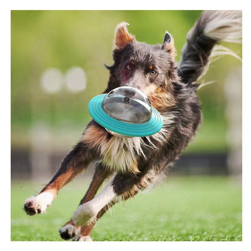 Planet dog clearance frisbee