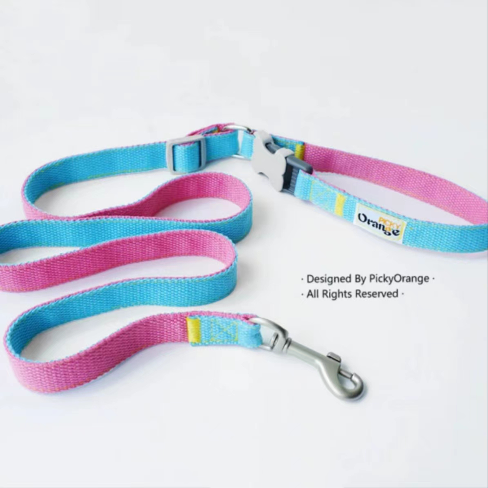 Set of Dog Harness & Leash with Adjustable Buckles