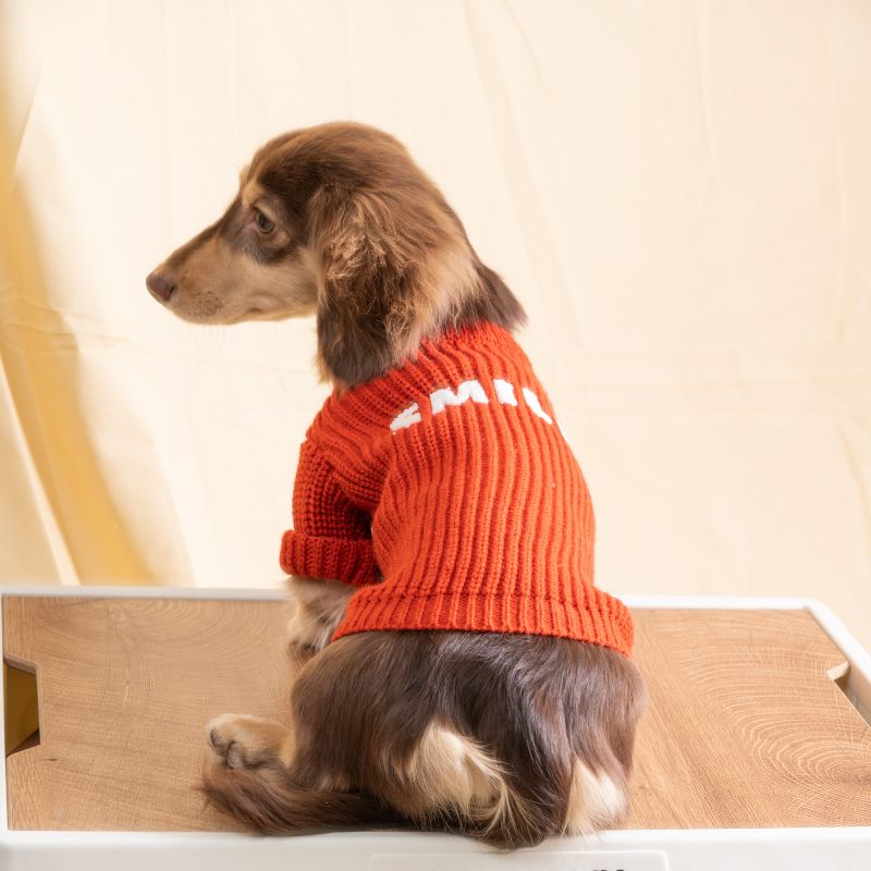 2023 Autumn and Winter Season Pet Knitted Sweater