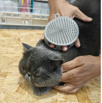 Cat/ Dog shower + massage brush （Two functions in one）