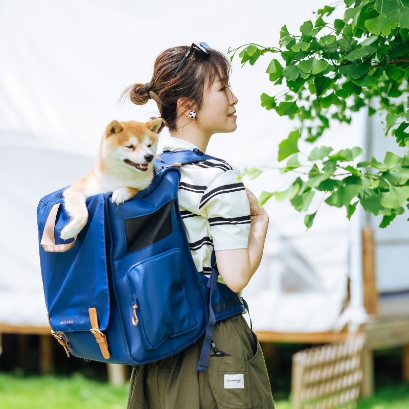 Retro Design Pet Carrier Backpack for Dogs Cats Puppies Rabbits Other Animals Under 25 Lbs, Ventilated Design, Great for Travel/Hiking/Outdoor Use