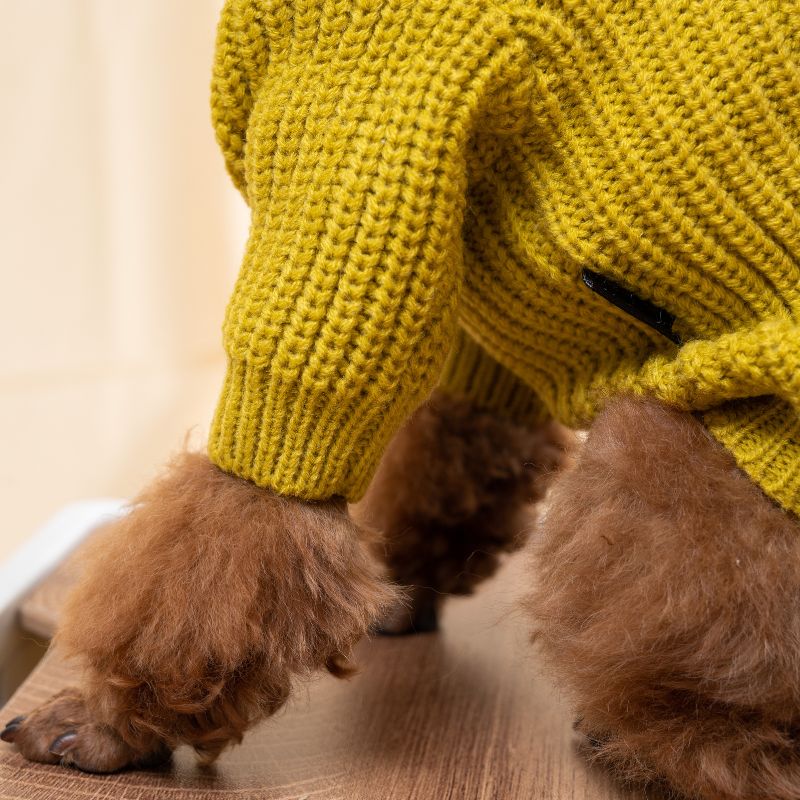 2023 Autumn and Winter Season Pet Knitted Sweater