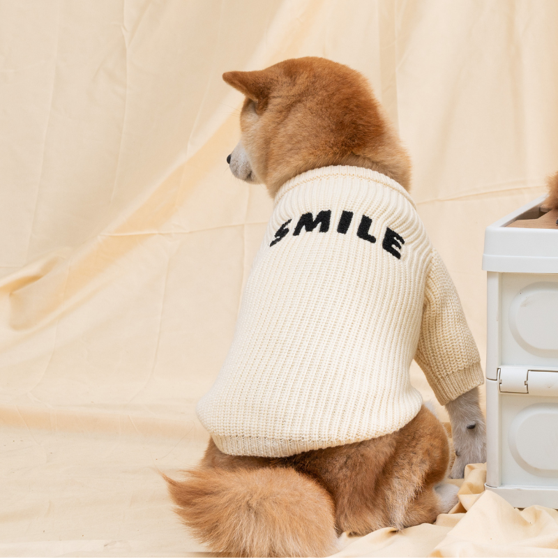 2023 Autumn and Winter Season Pet Knitted Sweater