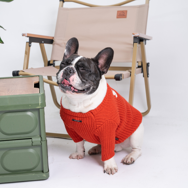 2023 Autumn and Winter Season Pet Knitted Sweater