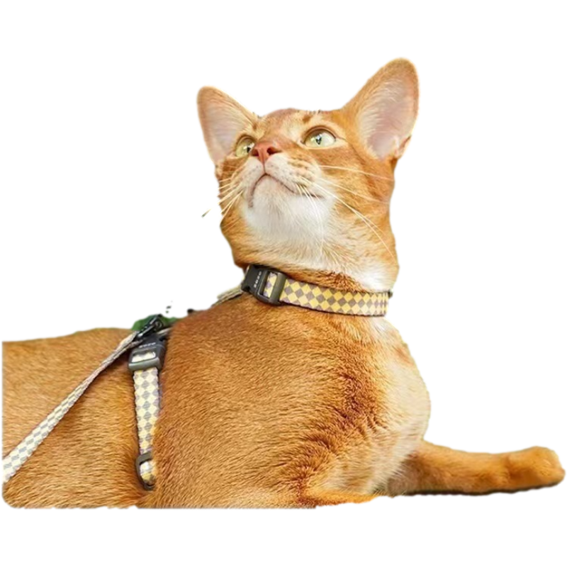 Cat Harness and Leash Escape Proof, Adjustable Cat Leash and Harness Set for Walking, Lightweight Cat Harness for Large Small Kittens