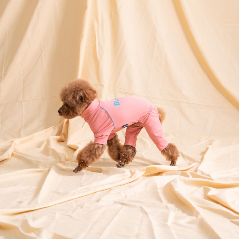 Dog /Cat Pajamas for Small and Medium Dogs or Cats, Super Soft Cotton, Comfortable Apparel for Play and Sleep