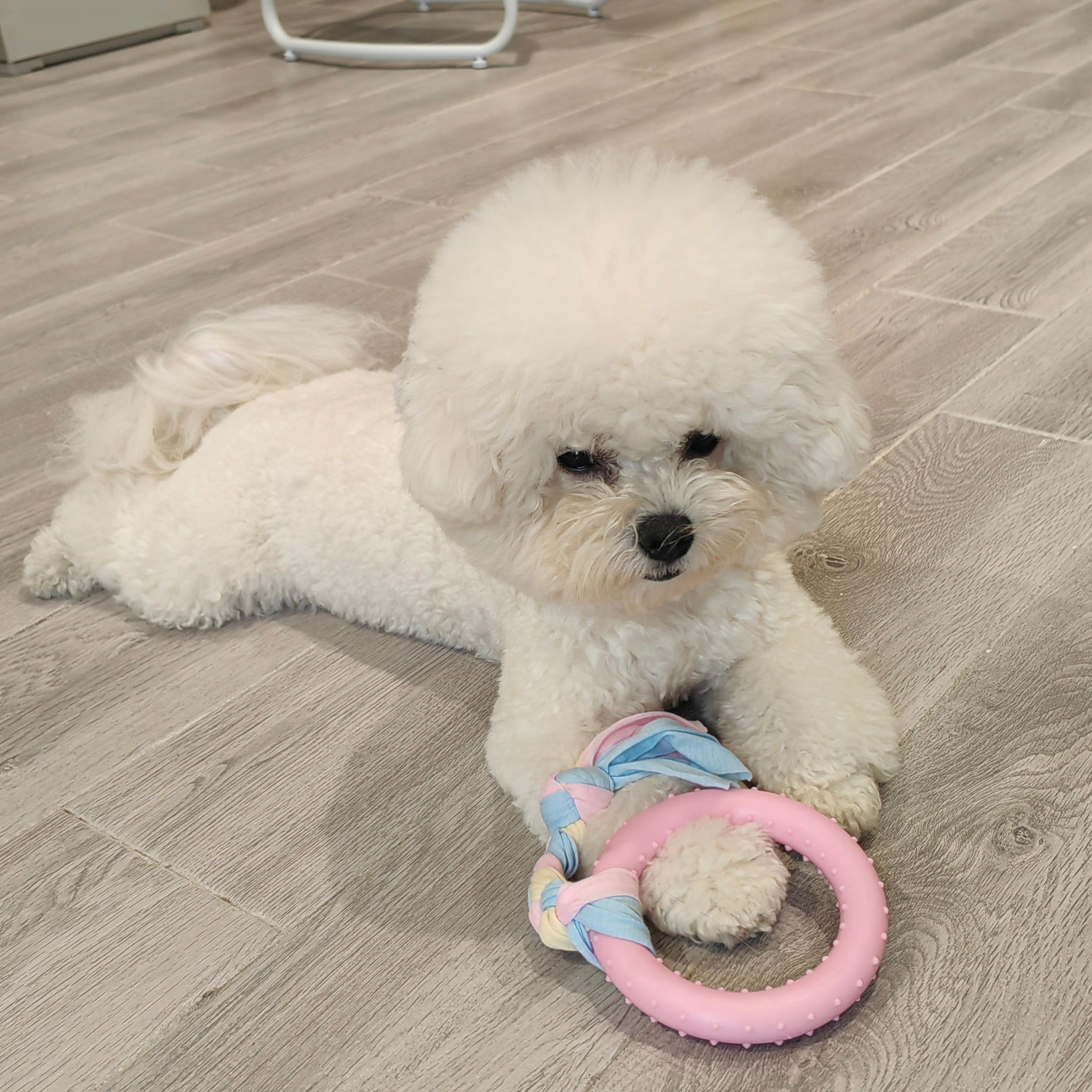 Puppy Teething Chew Toys 2 Pack Donut Tire Toys Set for Dogs- Pink and Blue