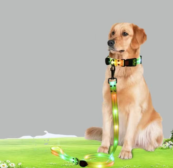 LED Light UP Dog Leash and Dog Collar Set , Rechargeable Waterproof Glow in The Dark, Dog Leash with Light, Luminous Reflective Dog Lights for Pet Safety Night Walking